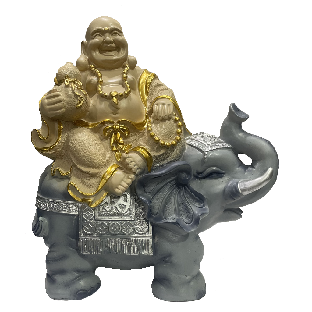 4.5 in Laughing Buddha Home Decor Asian Decor Dragon Turtle Buddha Statues  for Home Decor Altar Bookshelf Desktop Brings Good Luck and Health  Meditation Decor (Gold) : Amazon.in: Home & Kitchen