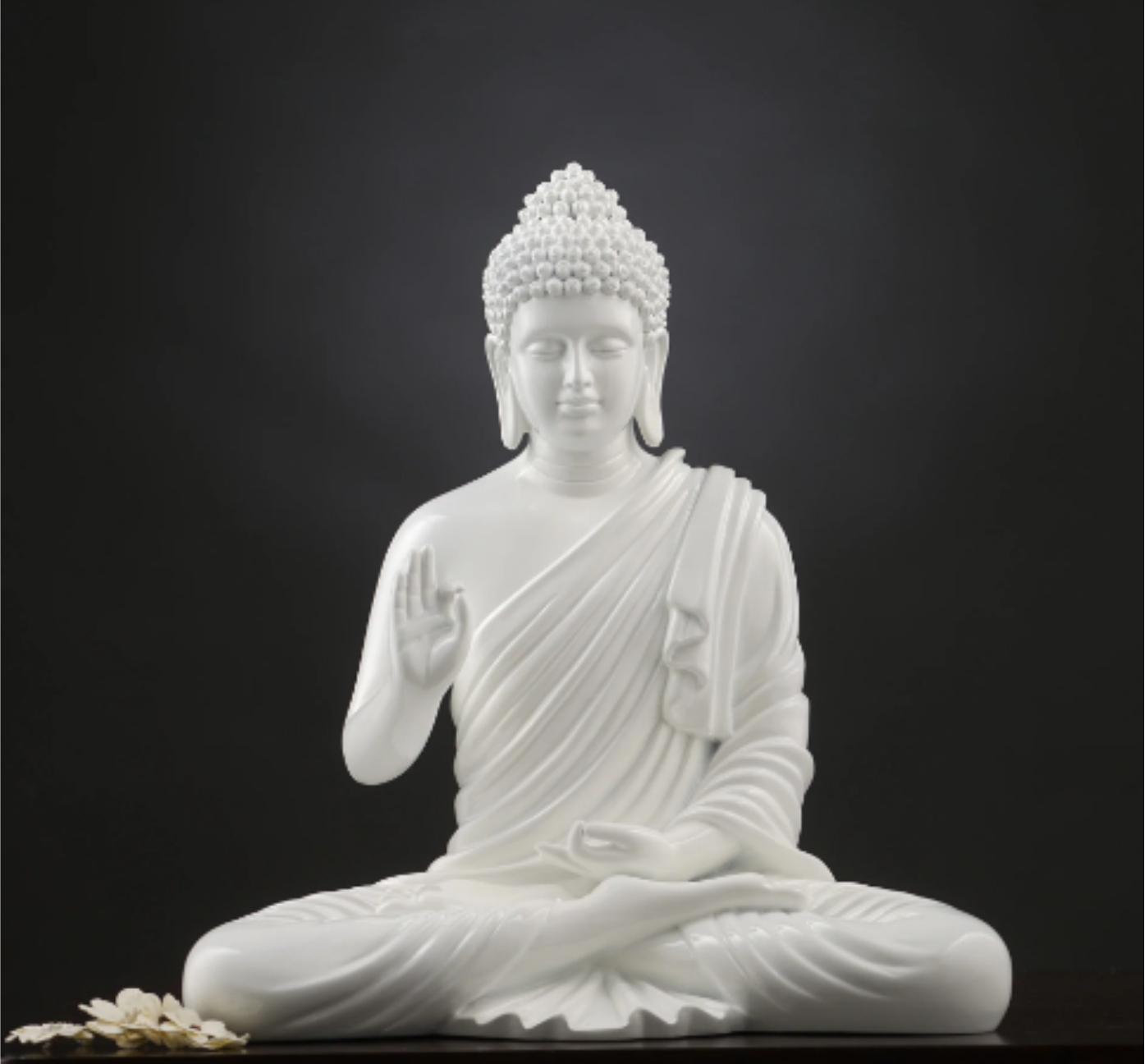 10 Buddha Mudras, Hand Gestures With Meaning